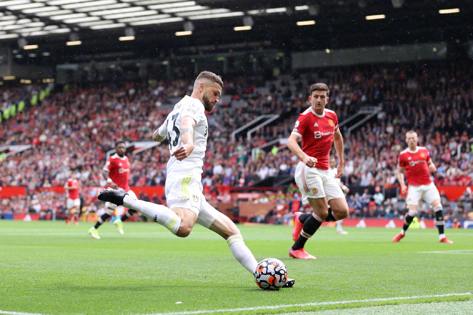 球迷的反應 球迷的反應